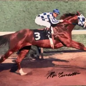 RON TURCOTTE SECRETARIAT - 1973 BELMONT STAKES SIGNED photo