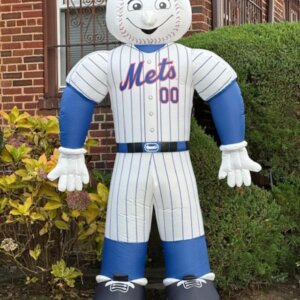 New York Mets-Support Your Team with Pictures