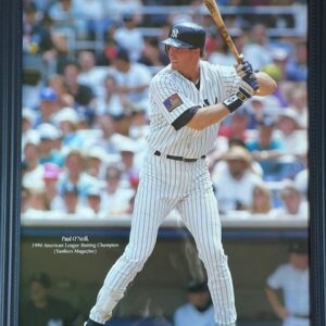 Paul O’Neill New York Yankees photo in the batting cage, standing in the batter’s box during batting practice.
